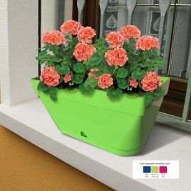CASSETTA LUNA 40CM_GREENTOWN